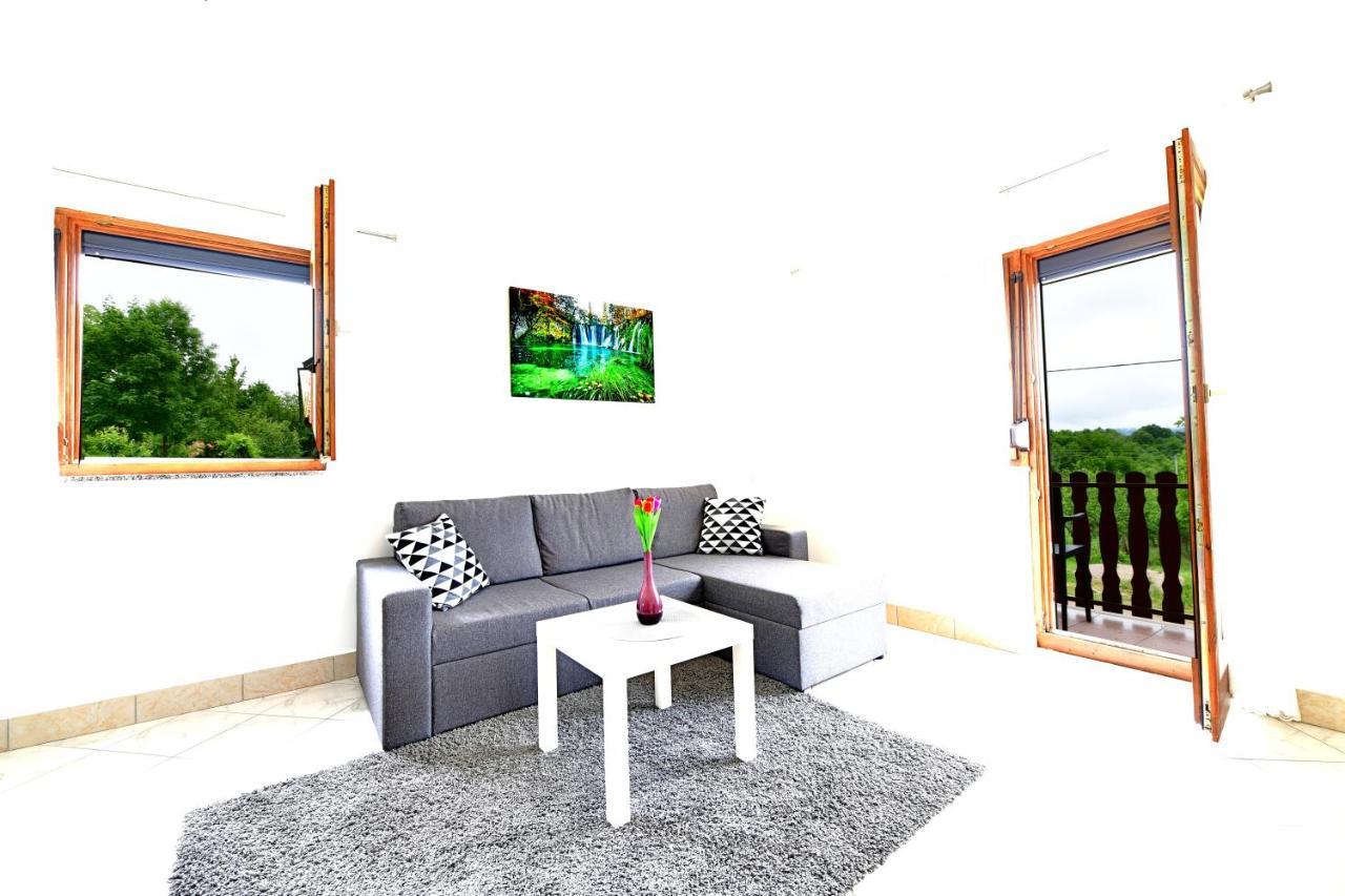 Apartman Mate Rakovica Esterno foto