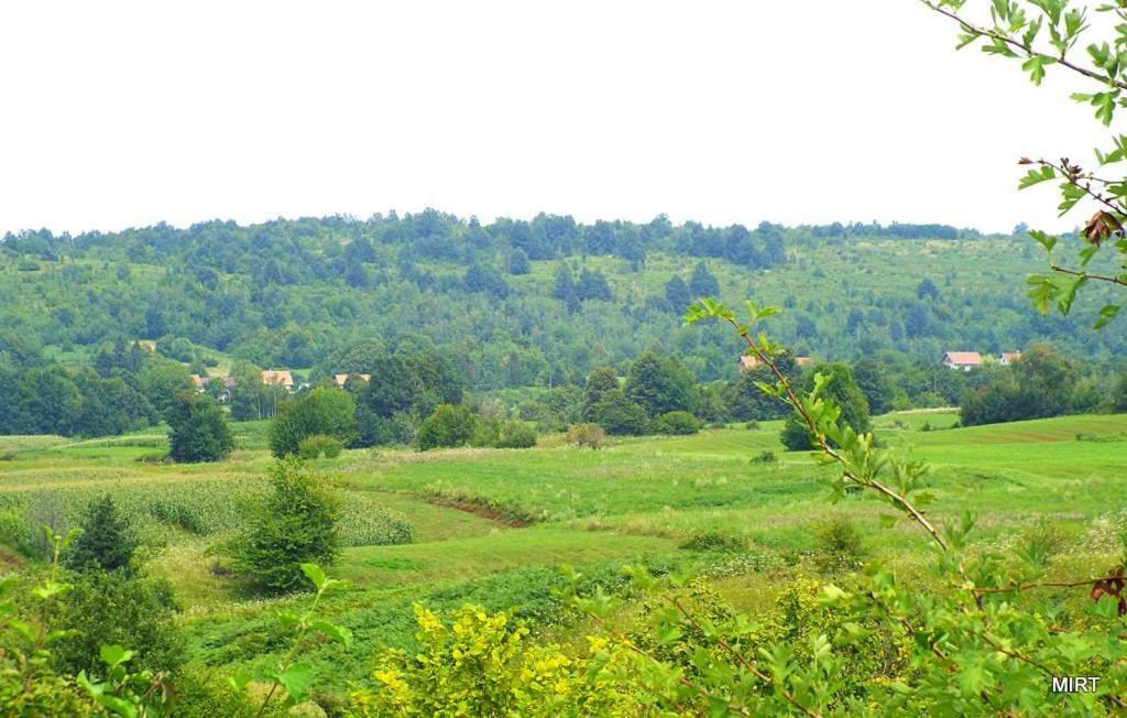 Apartman Mate Rakovica Esterno foto